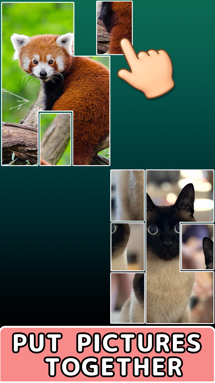Pictures in Pieces screenshot 5