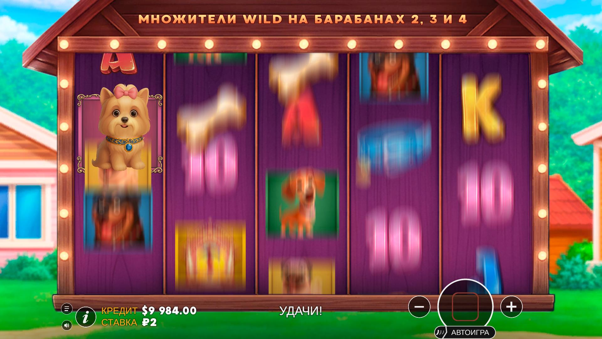 Слот Машина: Собачки! — screenshot 3