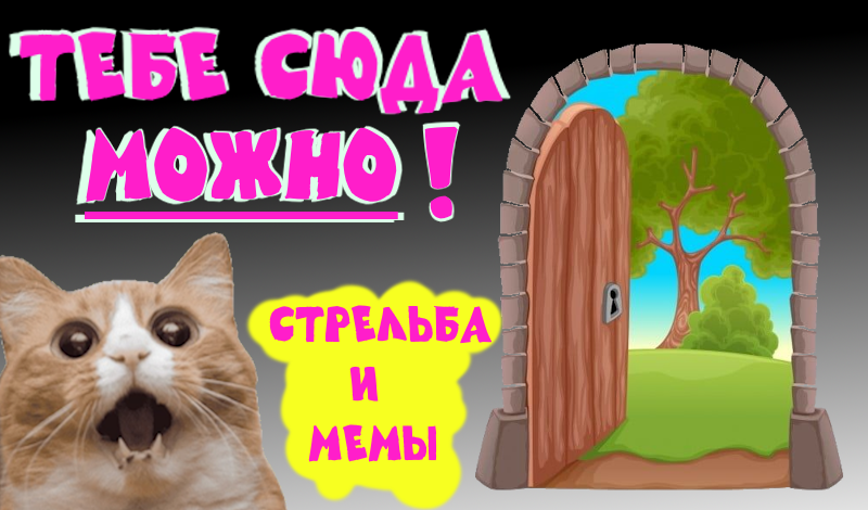 Тебе сюда можно! Стрельба и мемы game cover
