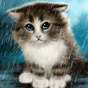 Adopt a kitten!