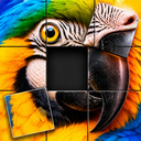 Assemble the Picture: Puzzle