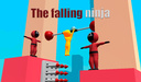The falling ninja