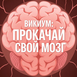 Викиум: Прокачай свой мозг