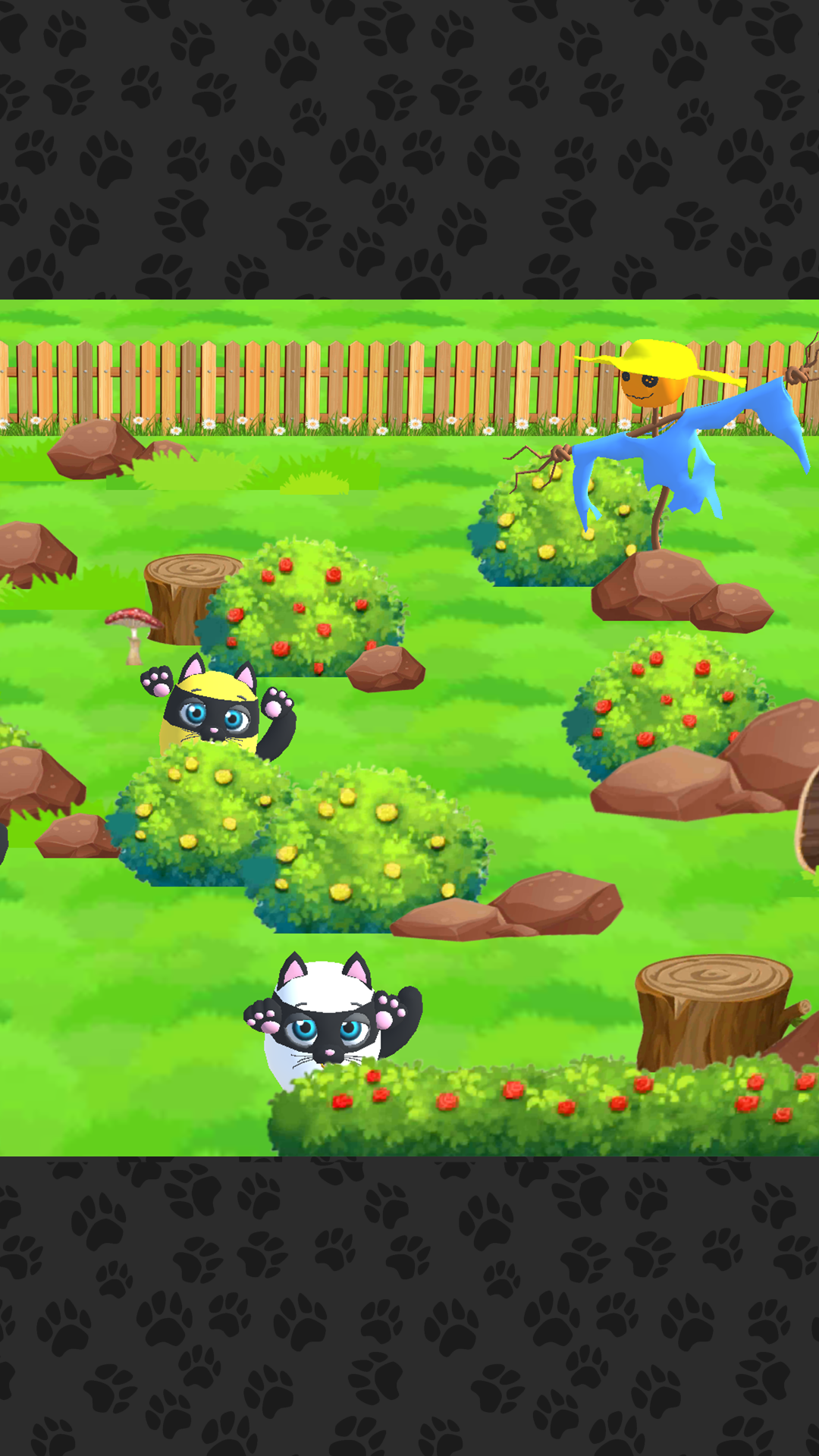Cat house. My dear friend kitten. screenshot 14