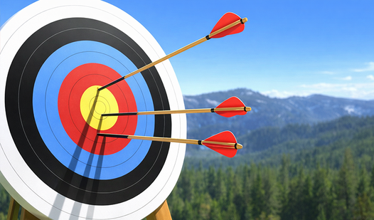 Симулятор лучника: Безумная стрельба!