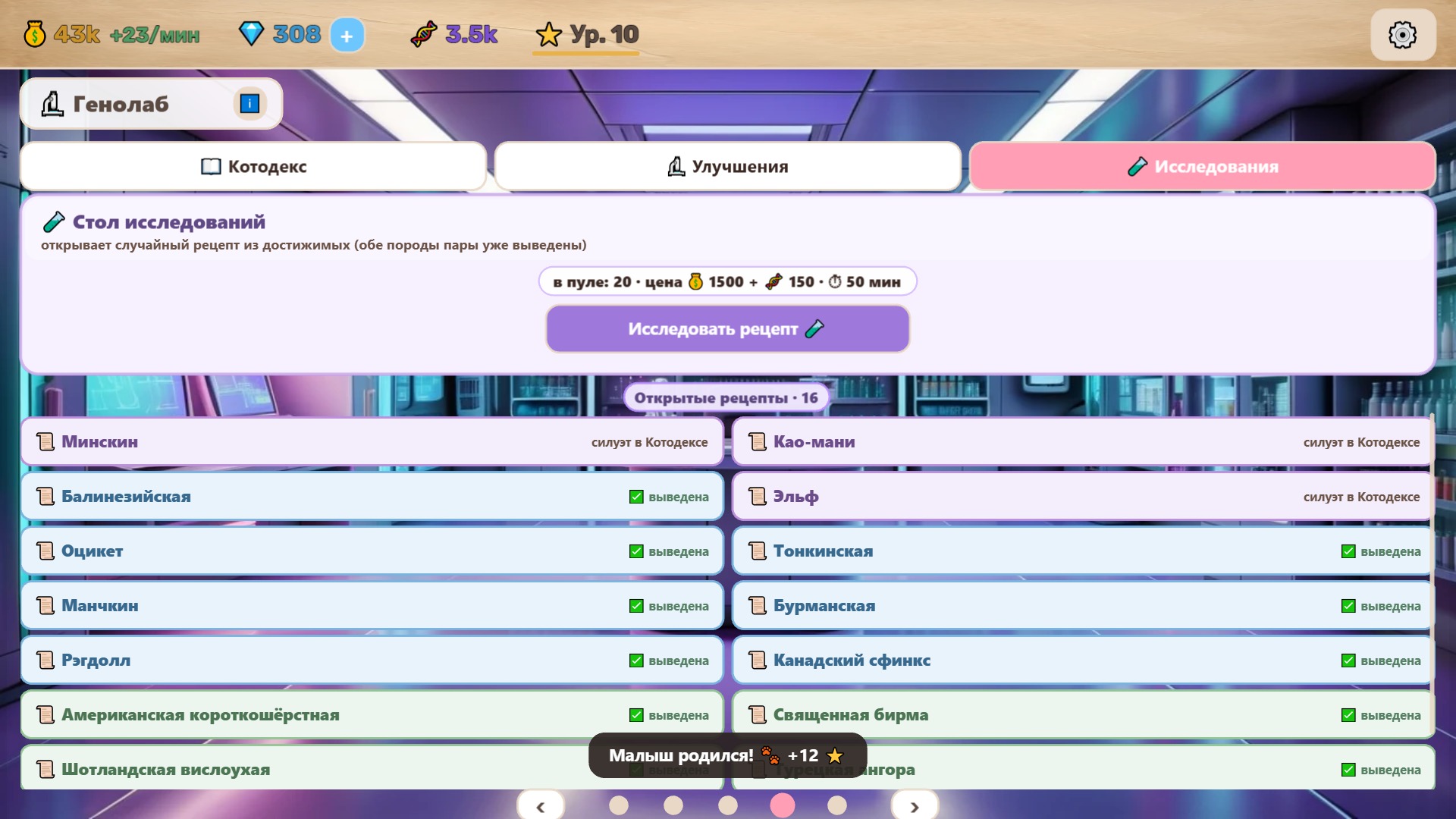 Котолаборатория — screenshot 7