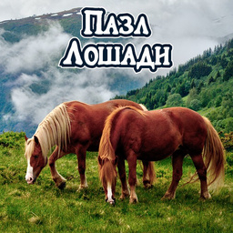 Horses Jigsaw Puzzle — Playhop