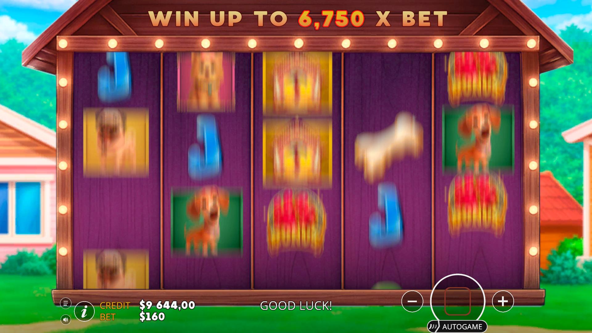 Slot Machine: Dogs! — screenshot 2