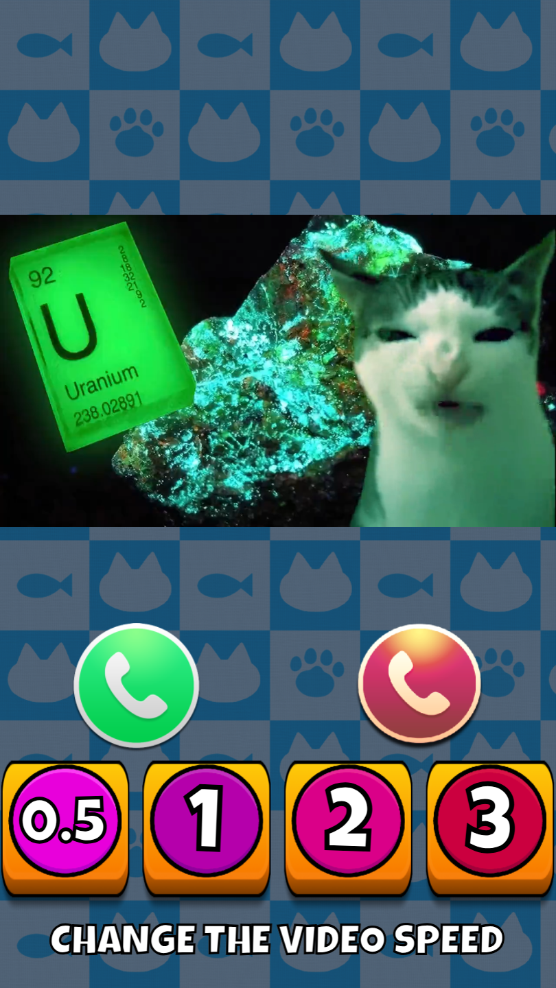 Meme cats: Tamagochi screenshot 11