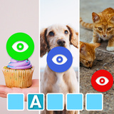 Guess the word from the picture - mega collection