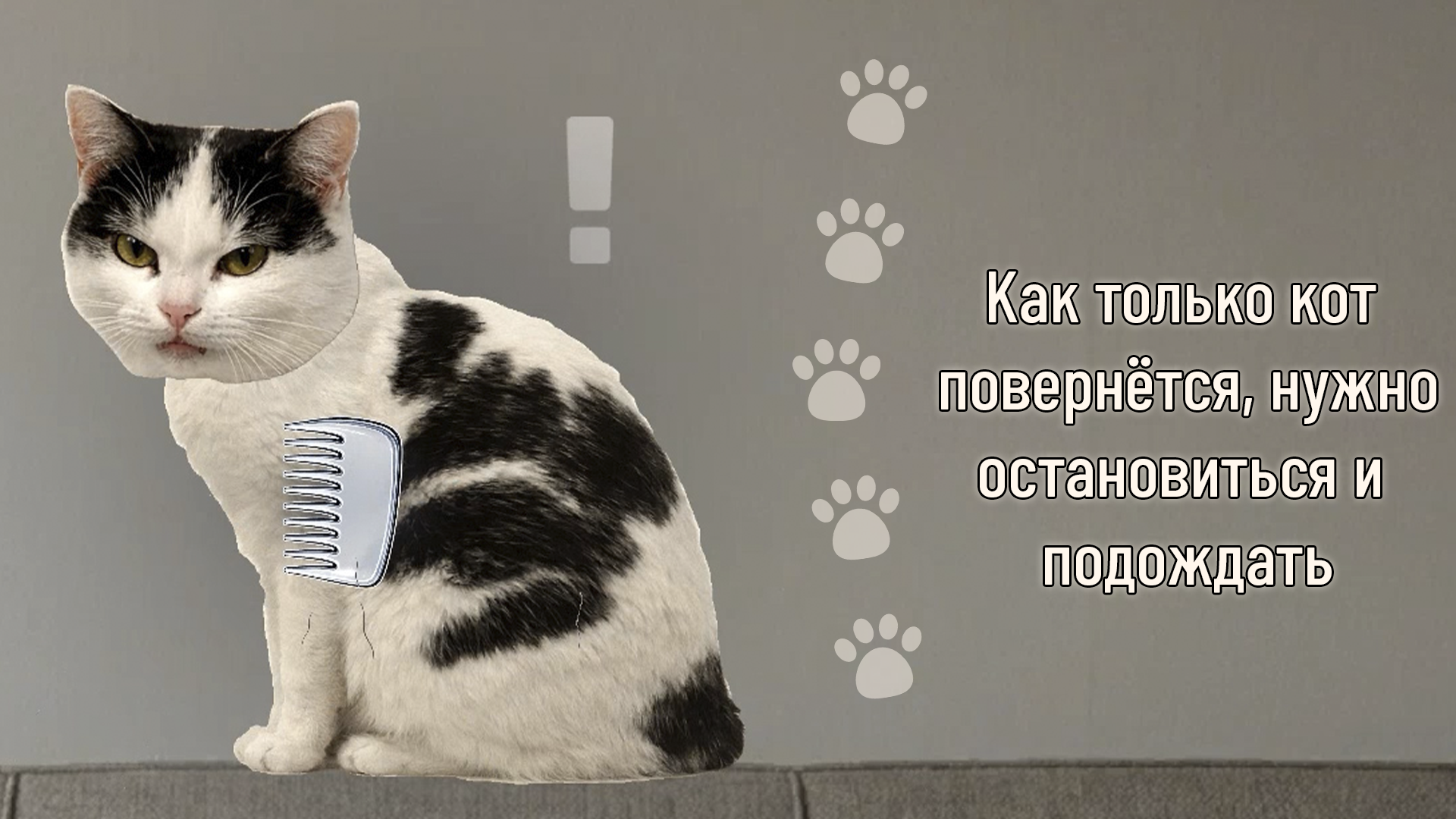 Расчёсывай! Пока кот не смотрит — screenshot 2