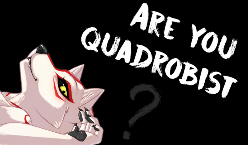 Are you quadrobist? game cover