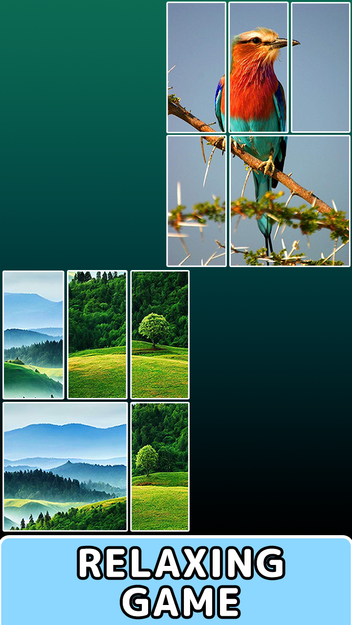 Pictures in Pieces screenshot 7