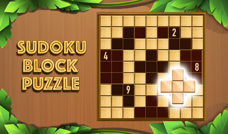 Sudoku Block Puzzle