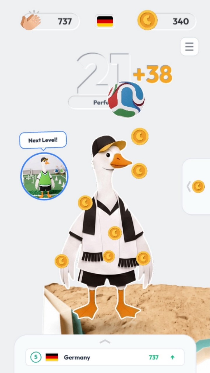 Goose Cup screenshot 10
