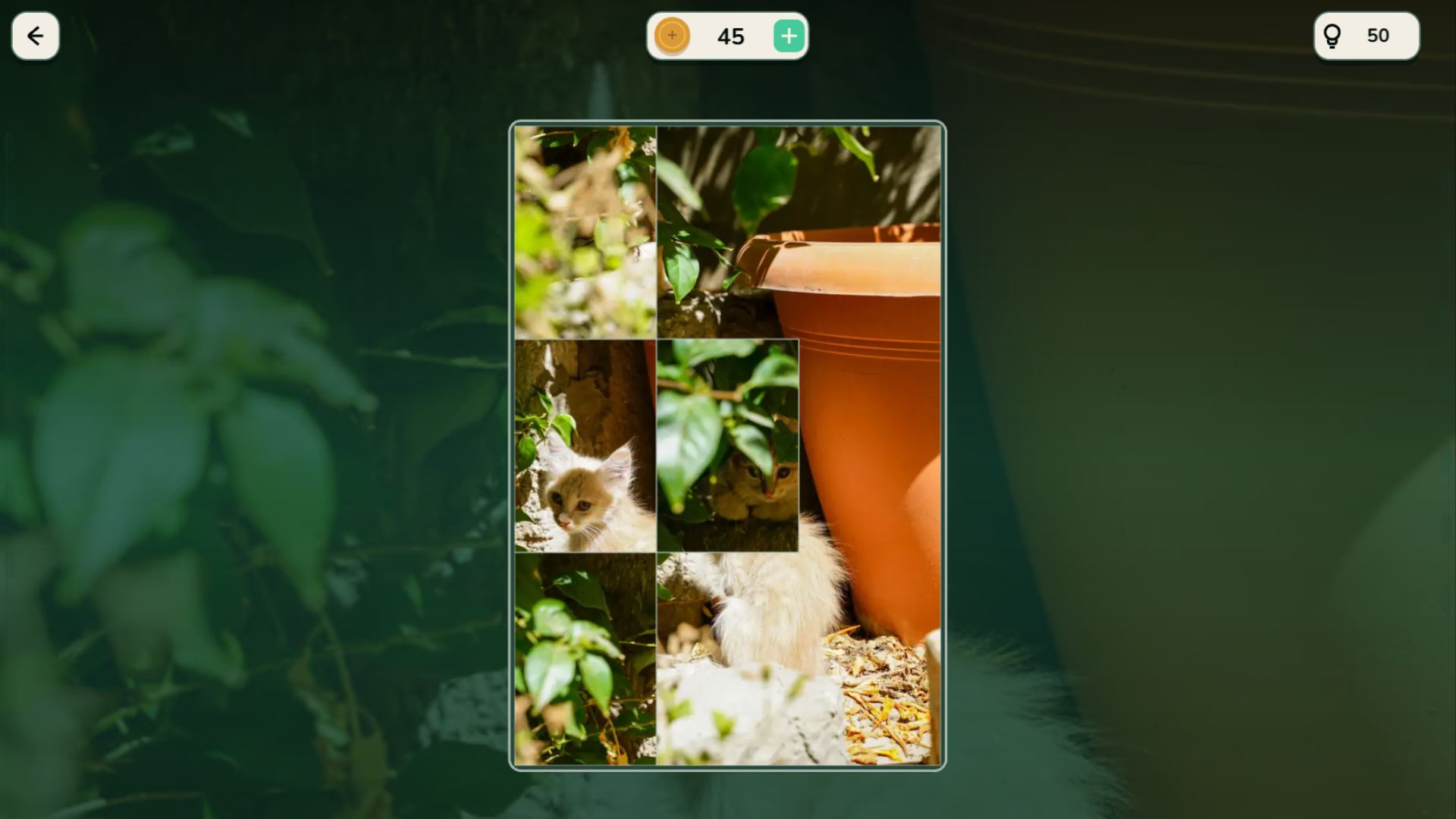 Forest Adventures — screenshot 1