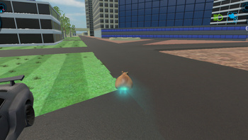 Drift Cat