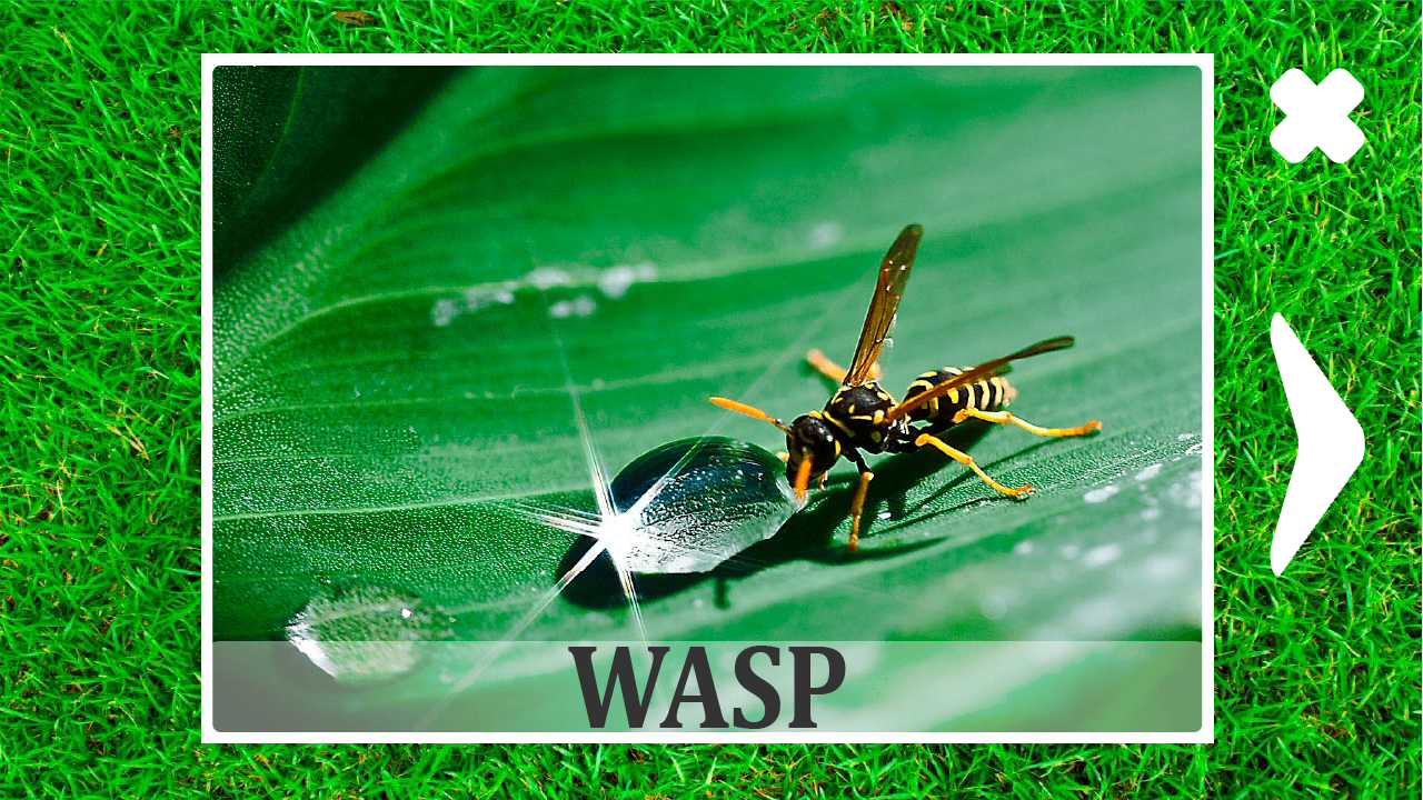 Animals for kids and their sounds — screenshot 14