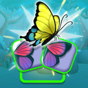 Butterfly Shimai