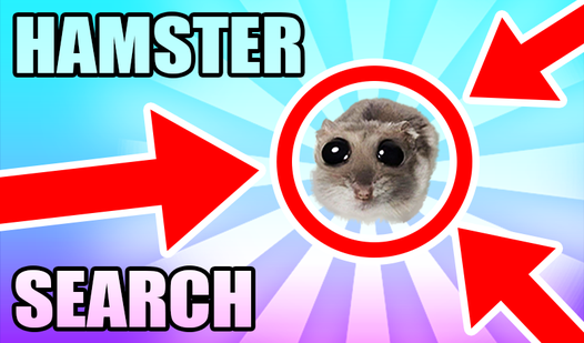 Hamster Search