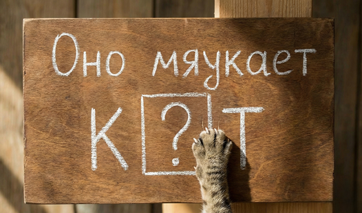 Словесный Детектив — trailer