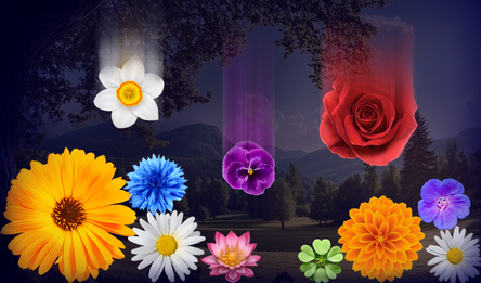 Connecting Flowers: Garden Merge