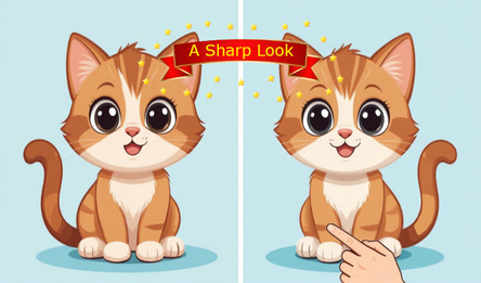 A sharp look