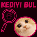 Kediyi bul