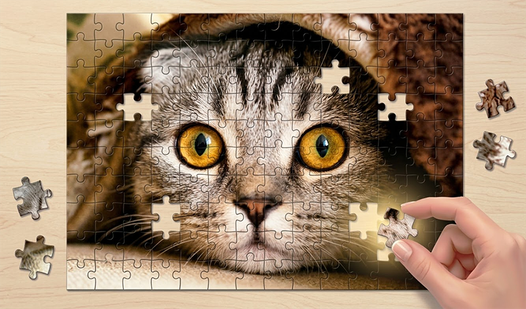 Jigsaw Puzzle World
