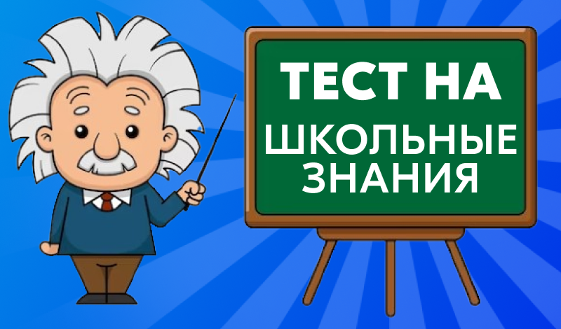 Тест на школьные знания game cover