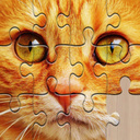 Puzzle illimitati