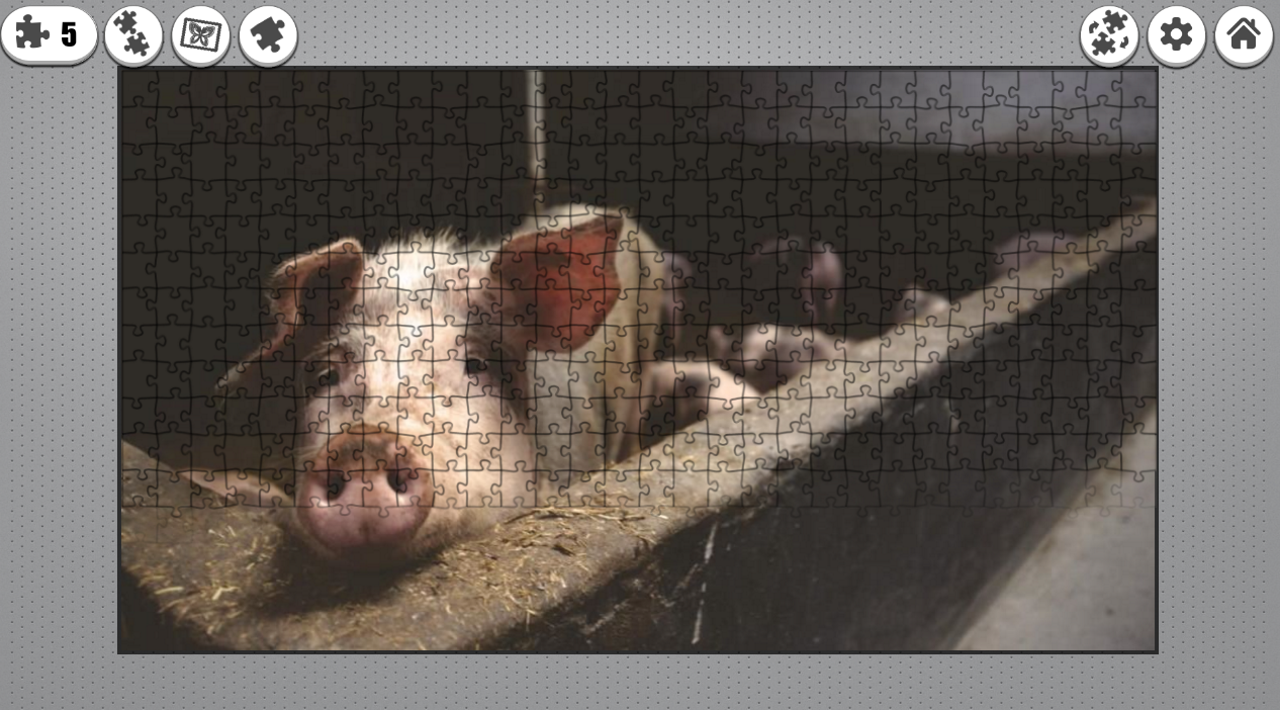 Daily Puzzle screenshot