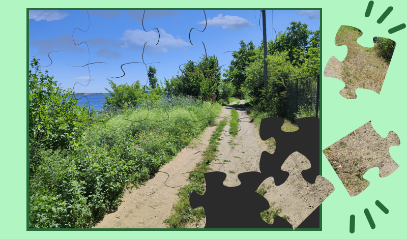 Real puzzle - Nature game cover