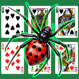 Spider: Eight Lines