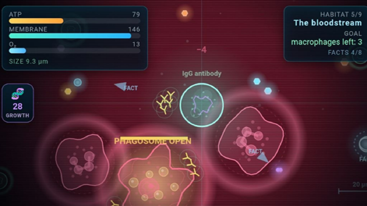 Bacteria Simulator — screenshot 6