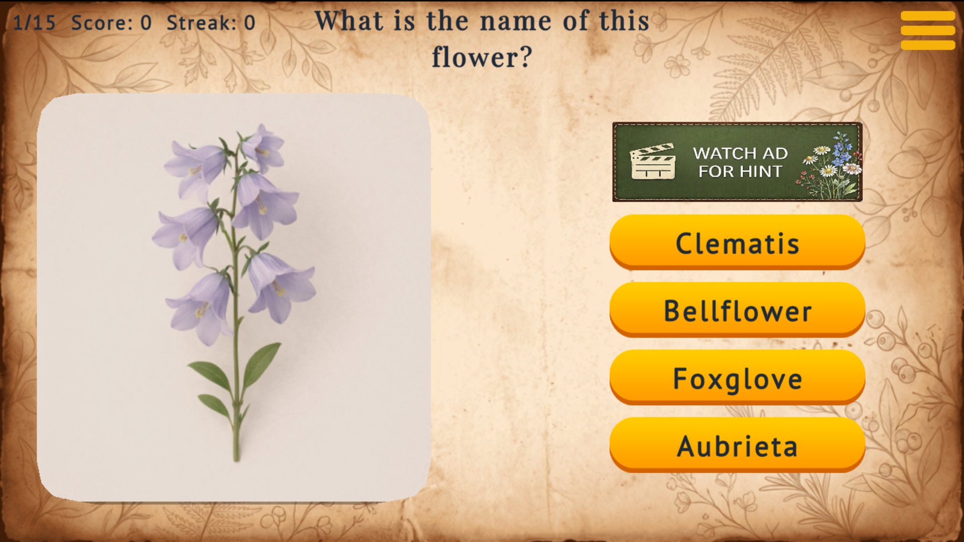 Guess the Flower — screenshot 4