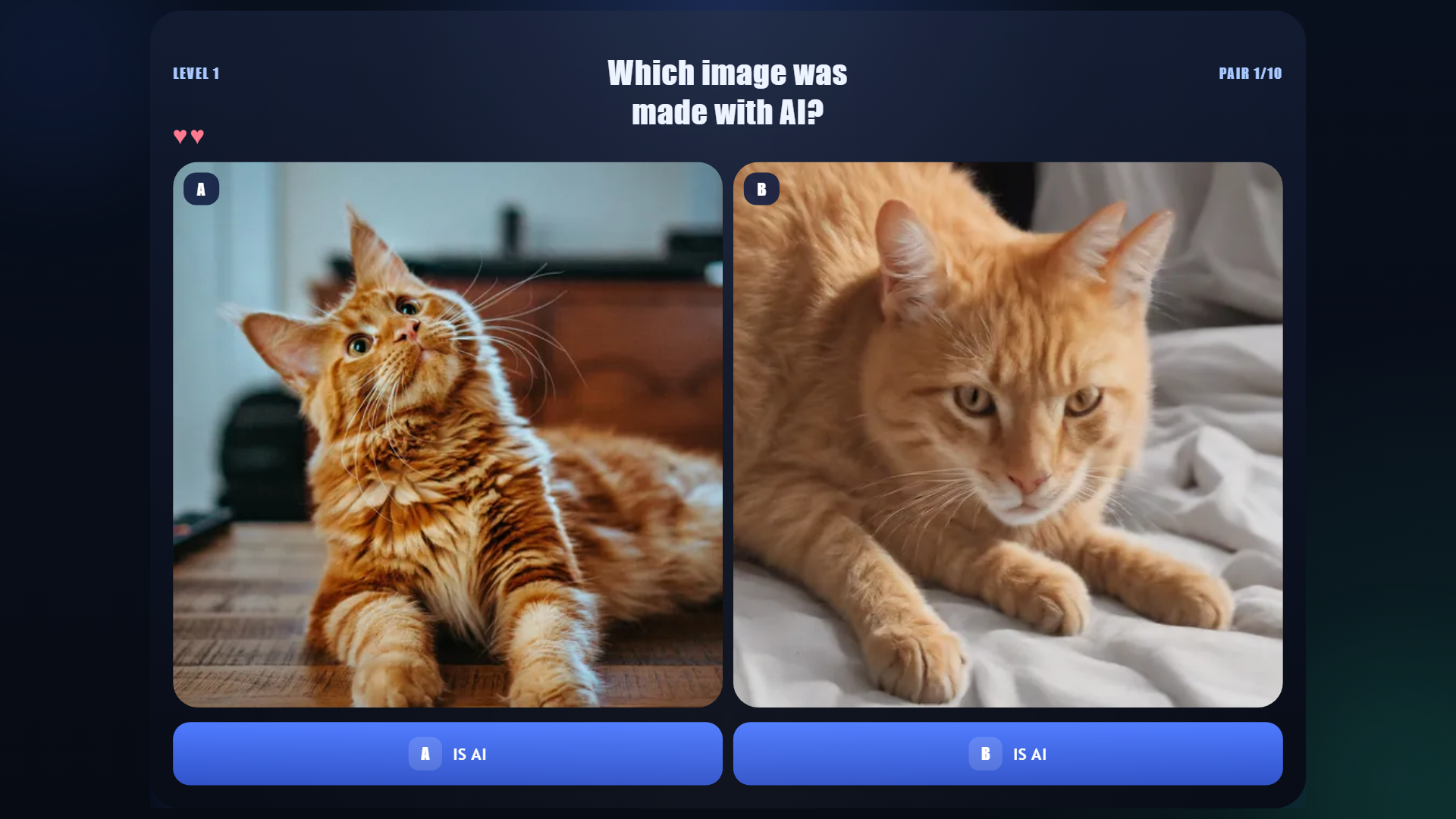 AI or Real? — screenshot 1