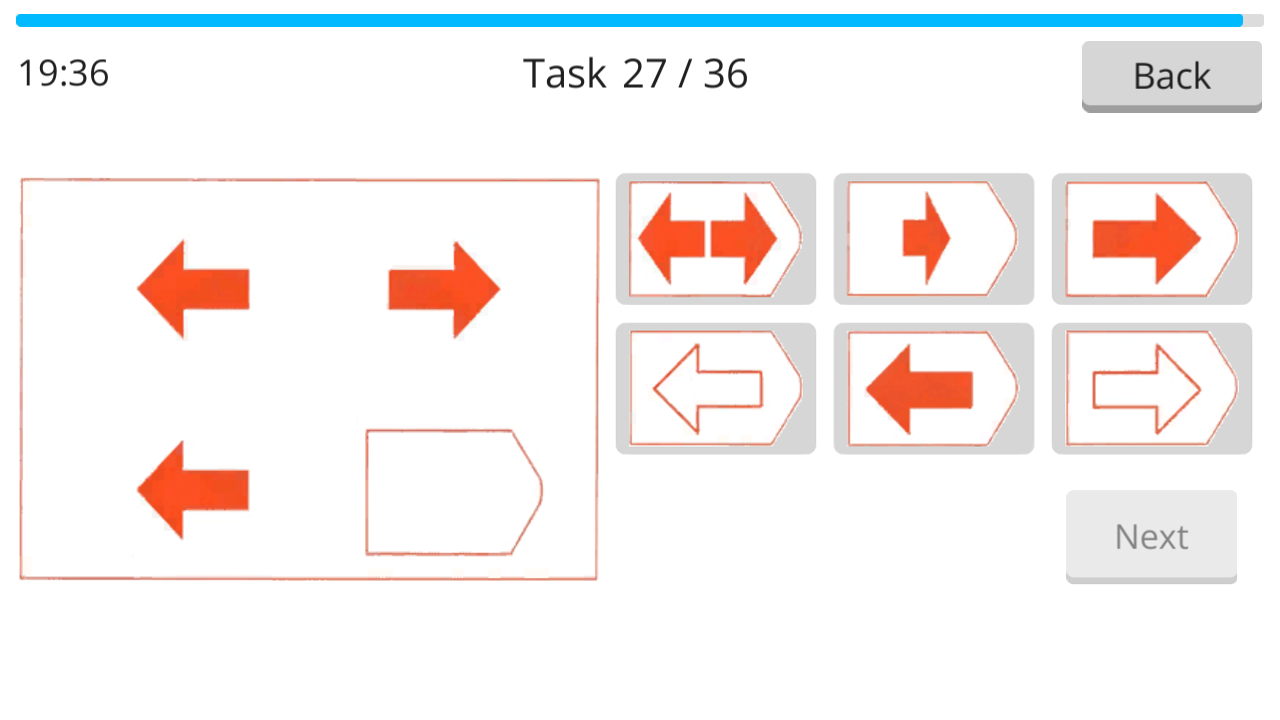 Raven IQ Test screenshot