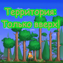 Территория: Только вверх!