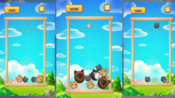 Connect the cats!