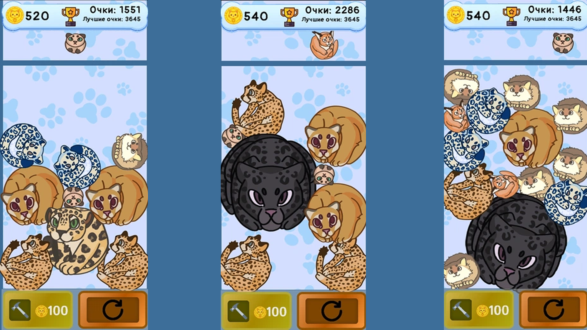 Котобол - поймай тигра! — screenshot 1