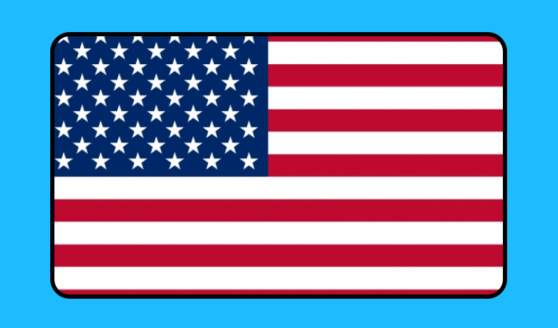Flags game cover