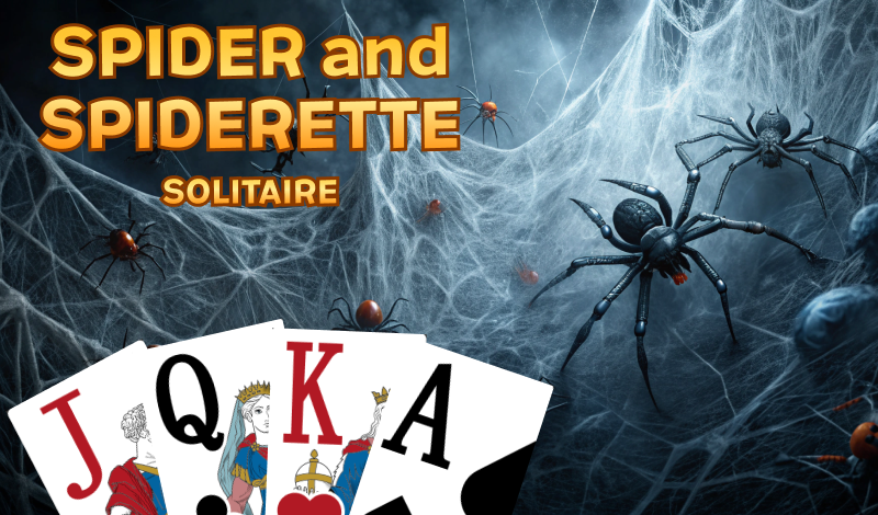 Spider and Spiderette solitaire game cover