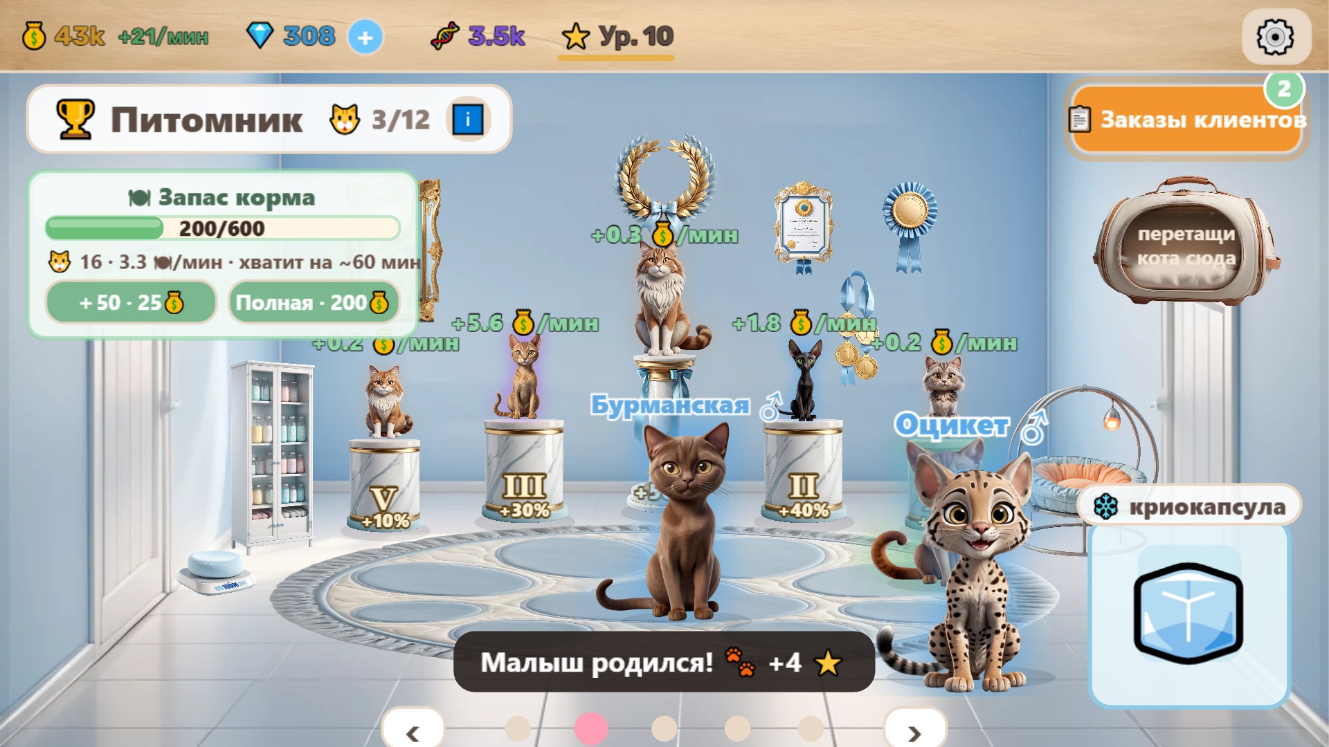 Котолаборатория — screenshot 11