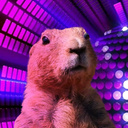 Disco marmot: Clicker