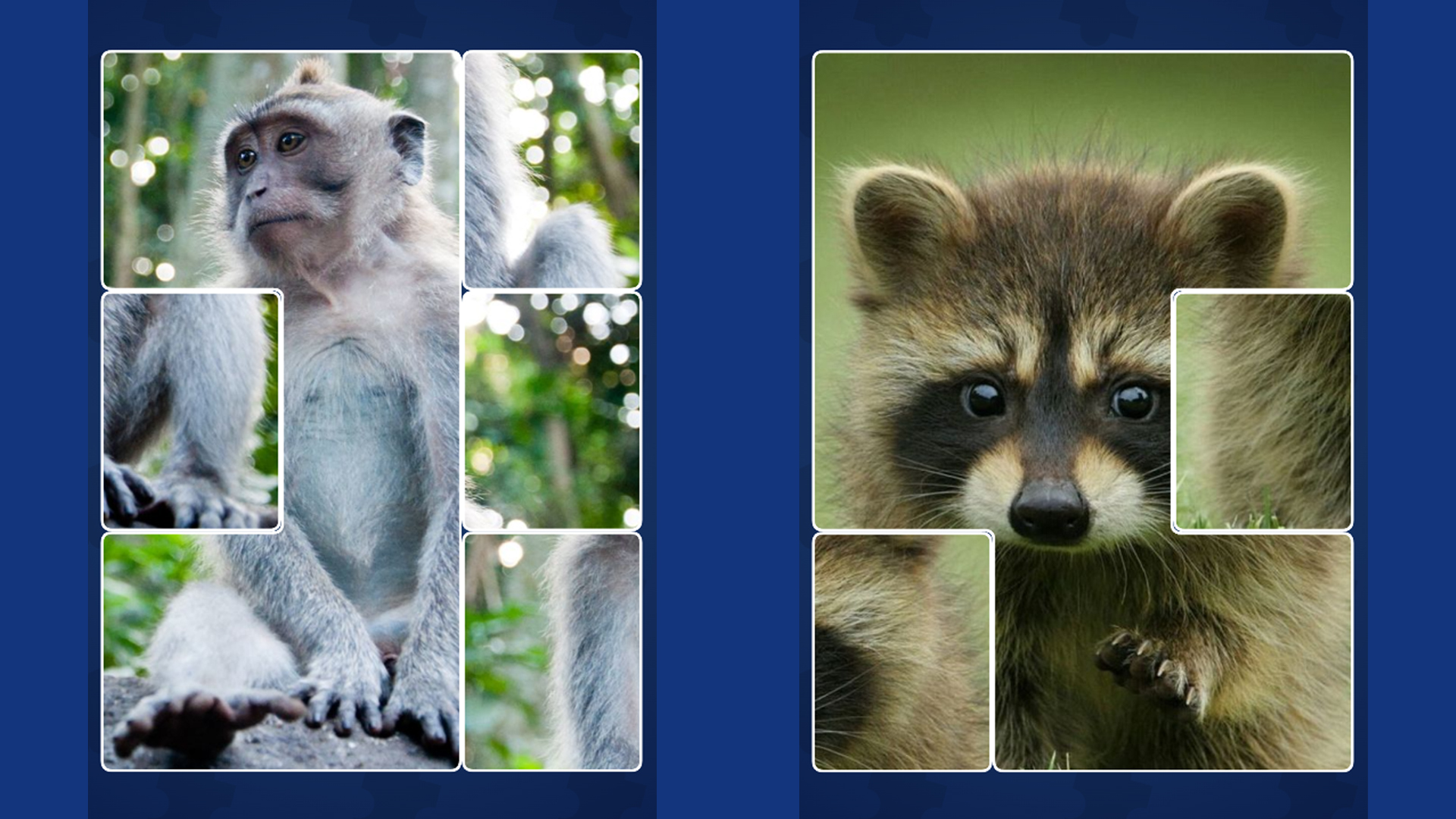 Puzzles - Relax Blocks — screenshot 1