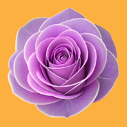 2048: Flowers merge