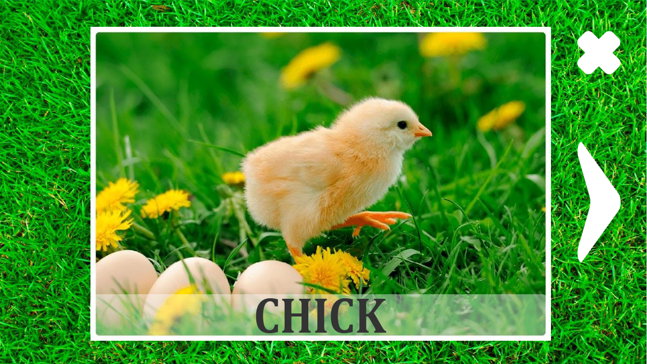 Animals for kids and their sounds — screenshot 9