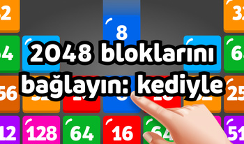 2048 bloklarını bağlayın: kediyle