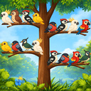 Bird Sorter